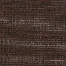 PLUM Swatch Teaser